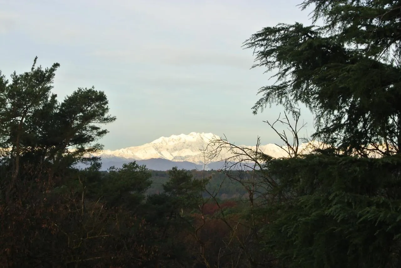 Bed and Breakfast campagnoli Somma Lombardo Bed & Breakfast